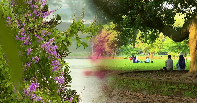 বৈশাখে চারিদিকে সবুজ আর রঙিন ফুলের সমাহার